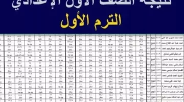 رابط نتائج أولى إعدادي 2025 بالاسم أو الرقم عبر بوابة التعليم الأساسي