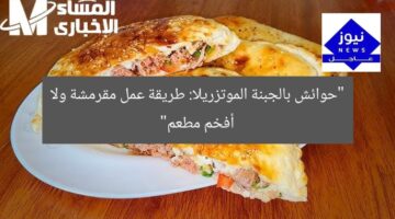 “حوائش بالجبنة الموتزريلا: طريقة عمل مقرمشة ولا أفخم مطعم”