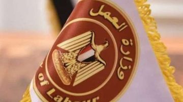 برواتب مجزية ومزايا متعددة.. وزارة العمل تعلن عن 558 فرصة عمل بالسعودية