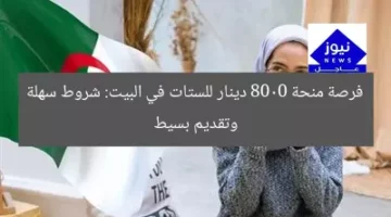فرصة منحة 8000 دينار للستات في البيت: شروط سهلة وتقديم بسيط