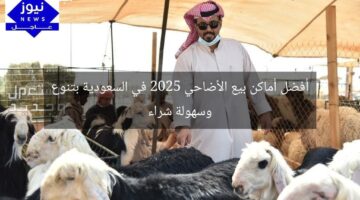 أفضل أماكن بيع الأضاحي 2025 في السعودية بتنوع وسهولة شراء