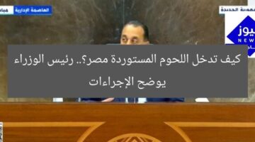 كيف تدخل اللحوم المستوردة مصر؟.. رئيس الوزراء يوضح الإجراءات