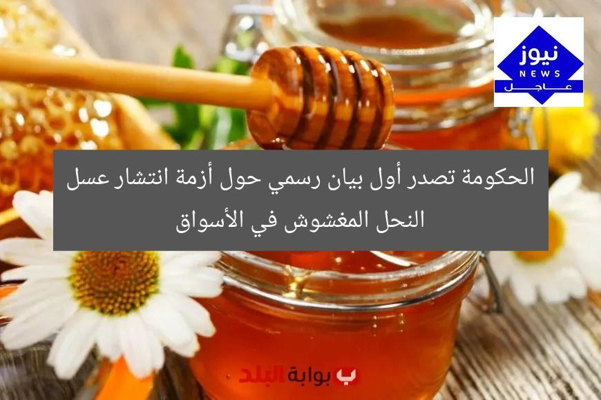 الحكومة تصدر أول بيان رسمي حول أزمة انتشار عسل النحل المغشوش في الأسواق