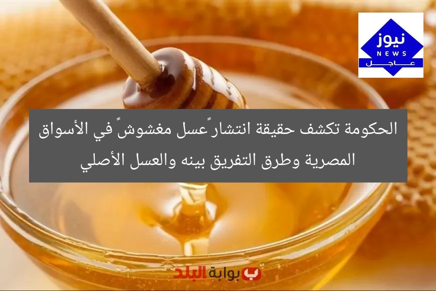 الحكومة تكشف حقيقة انتشار «عسل مغشوش» في الأسواق المصرية وطرق التفريق بينه والعسل الأصلي