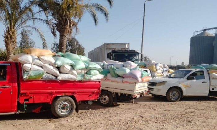 إمداد 261 ألف طن قمح لشون وصوامع البحيرة