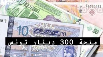 تونس بدأت تصرف الدعم.. منحة 300 دينار وطريقة التسجيل خطوة بخطوة