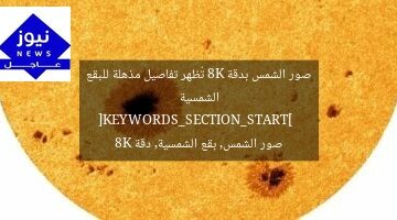 صور الشمس بدقة 8K تُظهر تفاصيل مذهلة للبقع الشمسية  
[KEYWORDS_SECTION_START]  
صور الشمس, بقع الشمسية, دقة 8K