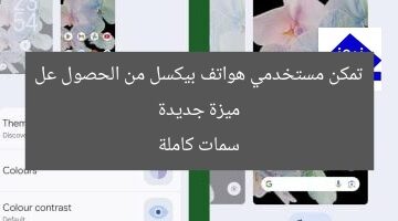 ميزة جديدة تمكن مستخدمي هواتف بيكسل من الحصول عل سمات كاملة