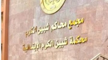 جنايات شبين الكوم تحيل أوراق ربة منزل وعشيقها وسائق إلى المفتي
