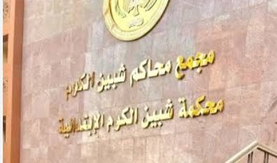 جنايات شبين الكوم تحيل أوراق ربة منزل وعشيقها وسائق إلى المفتي