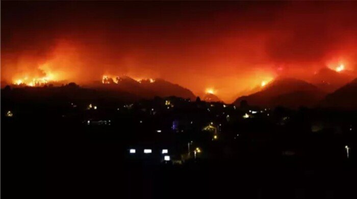 الجبل الأخضر يحترق: حرائق ضخمة تدمر غابات ومزارع ليبيا