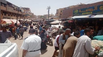 أسوان تتألق: حملات مكثفة لإزالة الإشغالات وتجميل المدن قبل عيد الأضحى