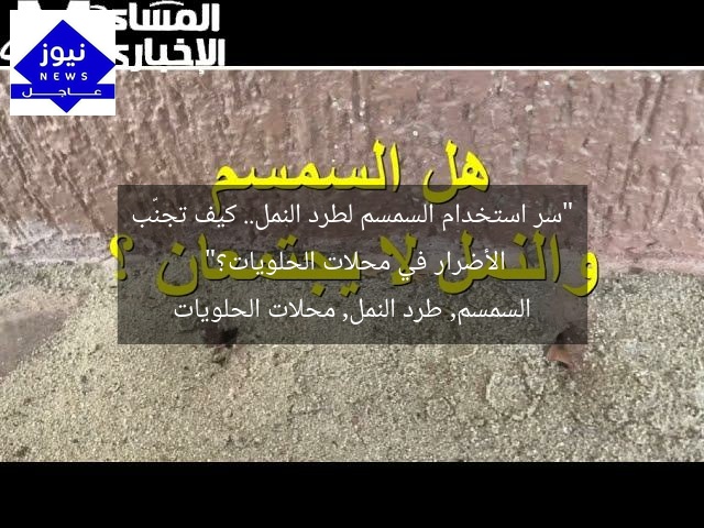 “سر استخدام السمسم لطرد النمل.. كيف تجنّب الأضرار في محلات الحلويات؟”
السمسم, طرد النمل, محلات الحلويات