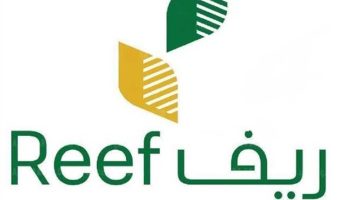 دعم ريف: ابدأ مشروعك البسيط بتمويل سهل وخطوات واضحة
دعم ريف, مشاريع بسيطة, تمويل المشاريع