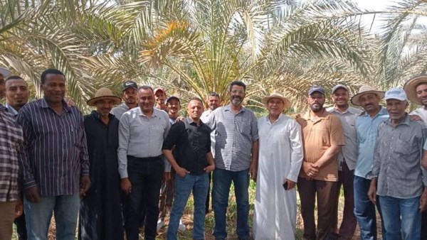 دورة تدريبية حول الزراعة العضوية والحد من الكيماويات بالوادي الجديد
