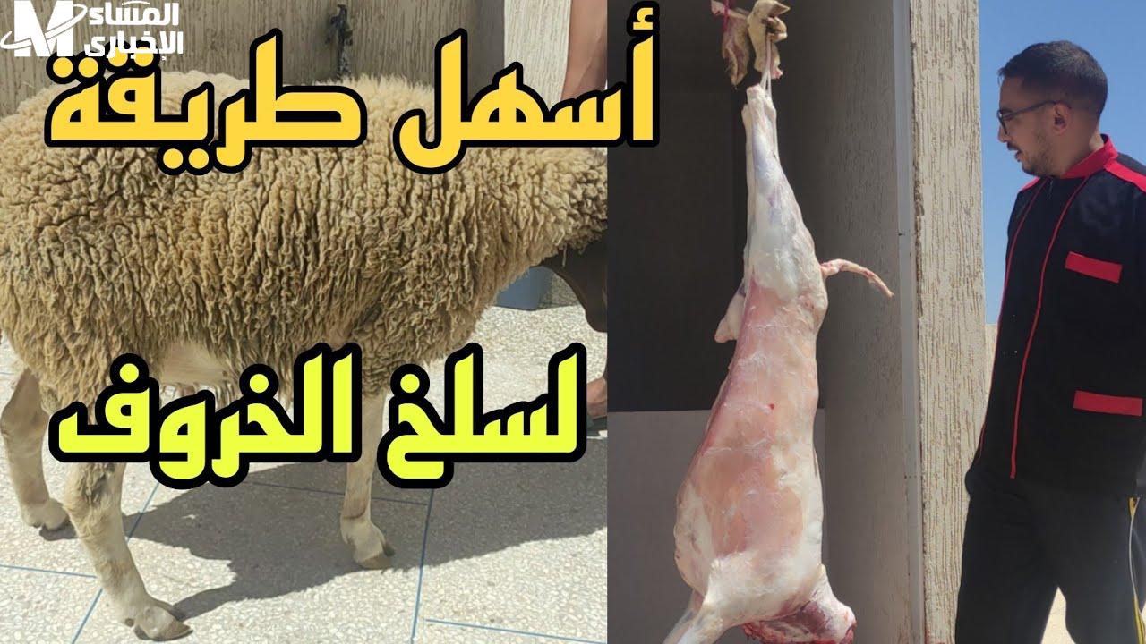 سلخ الخروف بقى سهل .. طريقة سلخ الخروف بخطوة بسيطة
