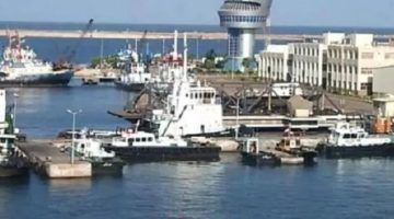 صور: ميناء دمياط يحطم الرقم القياسي باستقبال 27 سفينة في يوم واحد!