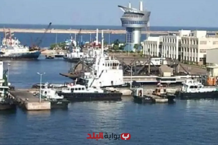 صور: ميناء دمياط يحطم الرقم القياسي باستقبال 27 سفينة في يوم واحد!