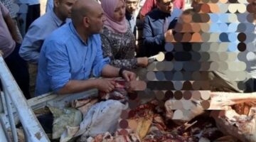 ضبط نصف طن لحوم غير صالحة للاستهلاك في المنوفية