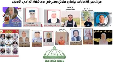 “علم.. إبداع.. قيادة.. مسئولية”.. شعار برلمان طلائع مصر في الوادي الجديد