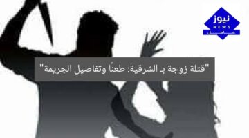 “قتلة زوجة بـ الشرقية: طعنًا وتفاصيل الجريمة”