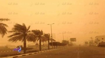 عواصف ترابية ورملية| الأرصاد تعلن مفاجأة بحالة الجو.. فيديو