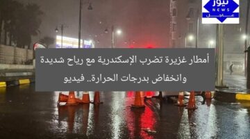 أمطار غزيرة تضرب الإسكندرية مع رياح شديدة وانخفاض بدرجات الحرارة.. فيديو