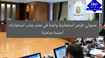 مدبولي: فرص استثمارية واعدة في مصر جذب استثمارات أجنبية مباشرة