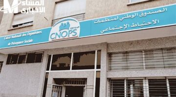 في سبعة خطوات بس..ابدأ خطواتك الجديدة مع موقع كنوبس المغرب الذي أصبح جاهزًا الآن
