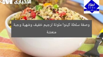 وصفة سلطة كينوا ملونة لرجيم خفيف وشهية وجبة منعشة