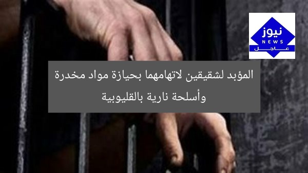 المؤبد لشقيقين لاتهامهما بحيازة مواد مخدرة وأسلحة نارية بالقليوبية