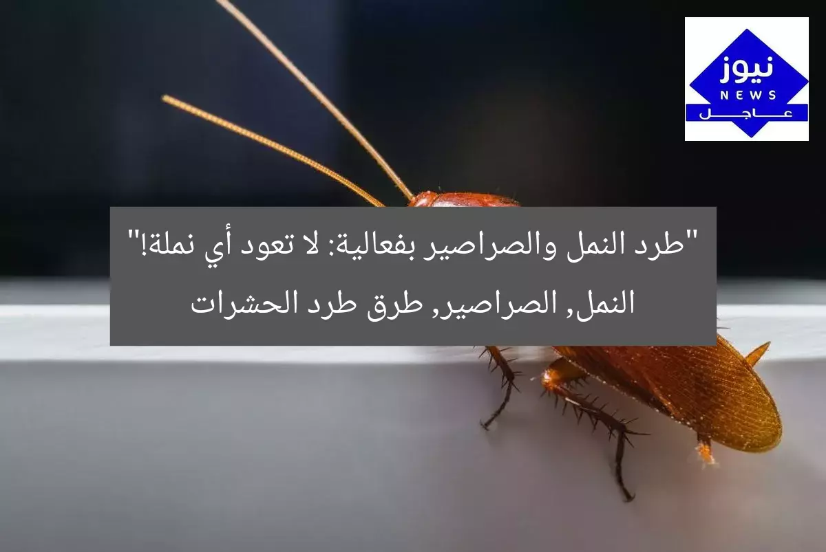 “طرد النمل والصراصير بفعالية: لا تعود أي نملة!”
النمل, الصراصير, طرق طرد الحشرات