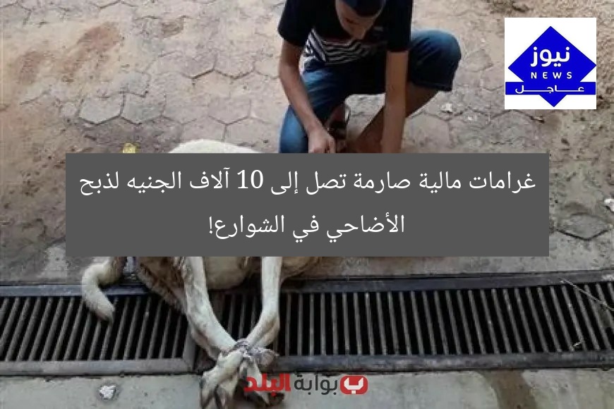 غرامات مالية صارمة تصل إلى 10 آلاف الجنيه لذبح الأضاحي في الشوارع!