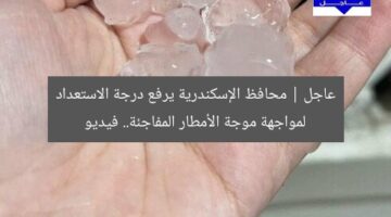 عاجل | محافظ الإسكندرية يرفع درجة الاستعداد لمواجهة موجة الأمطار المفاجئة.. فيديو