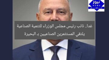 غدا.. نائب رئيس مجلس الوزراء للتنمية الصناعية يلتقي المستثمرين الصناعيين بـ البحيرة