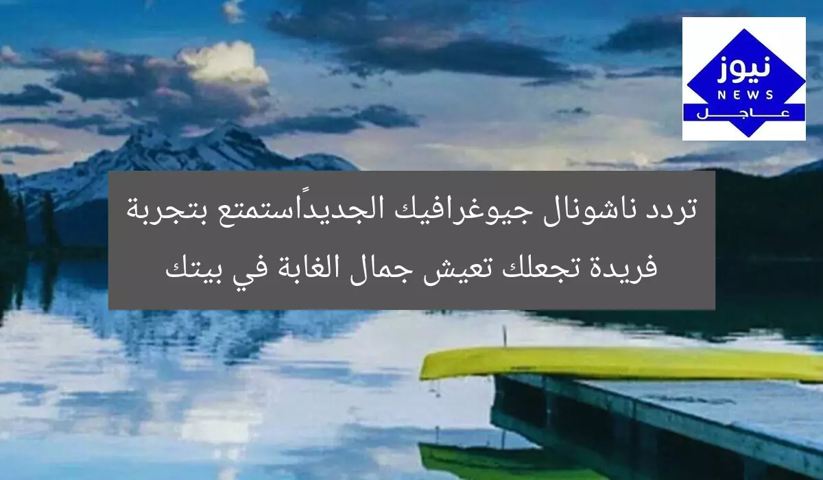 تردد ناشونال جيوغرافيك الجديد…استمتع بتجربة فريدة تجعلك تعيش جمال الغابة في بيتك