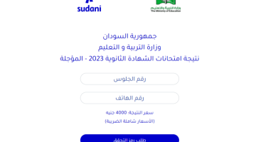 نتيجة الشهادة السودانية 2025 رسميًا.. الرابط الإلكتروني السريع