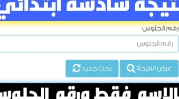 نتيجة الصف السادس الابتدائي بالدقهلية 2025: الرابط المباشر للاستعلام برقم الجلوس والاسم  
[KEYWORDS_SECTION_START]  
نتيجة الصف السادس الابتدائي بالدقهلية, رابط مباشر للاستعلام, برقم الجلوس والاسم