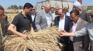 نستهدف الوصول لـ 10 ملايين طن قمح هذا العام