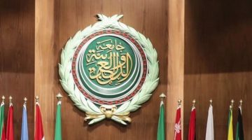 نقدّم الجزرة دون العصا..مندوب فلسطين بالجامعة العربية ينتقد قرارات القمم السابقة