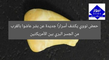 حمض نووي يكشف أسرارًا جديدة عن بشر عاشوا بالقرب من الجسر البري بين الأمريكتين