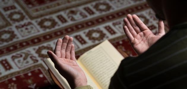 “كيف تحقق دعوة لا تُرفض؟ 5 شروط مع فيديو”
دعوة لا تُرفض, كيف تحقق, فيديو