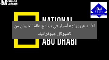 “الأسد هيزورك: ناشيونال جيوغرافيك يُعيد تعريف إثارة عالم الحيوان”