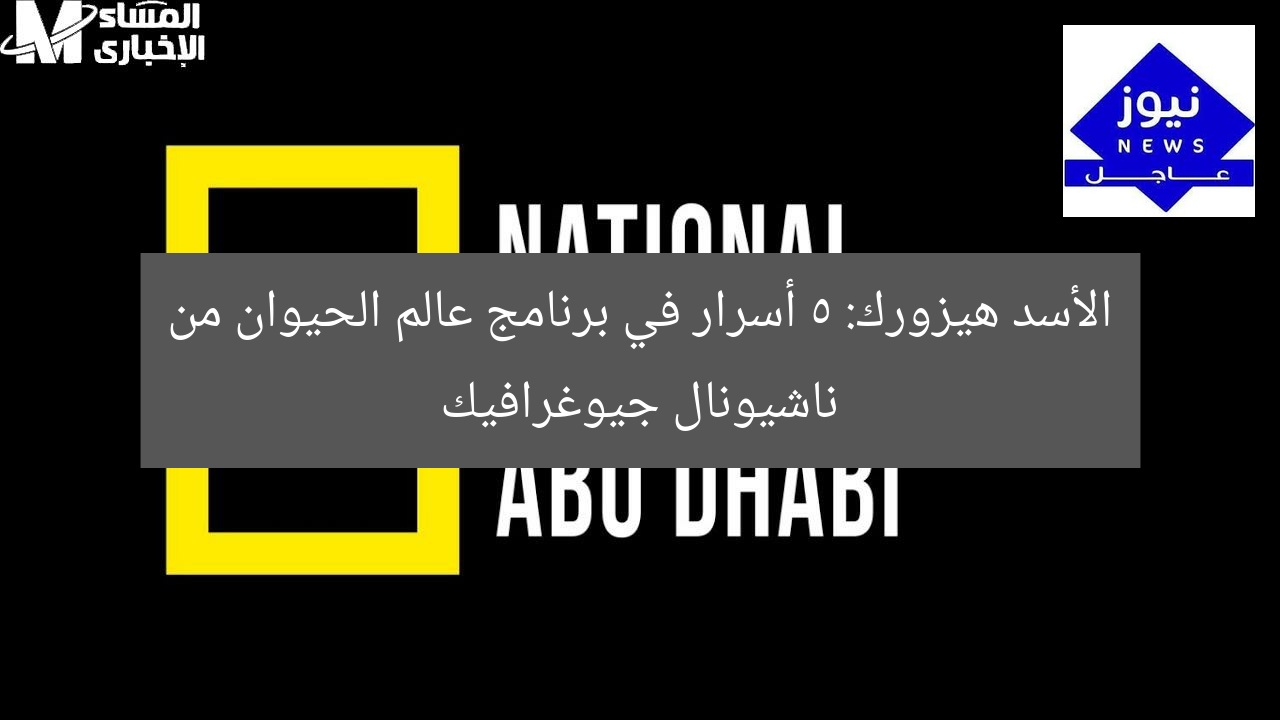 “الأسد هيزورك: ناشيونال جيوغرافيك يُعيد تعريف إثارة عالم الحيوان”