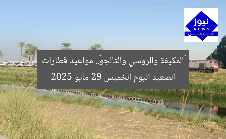 «المكيفة والروسي والتالجو».. مواعيد قطارات الصعيد اليوم الخميس 29 مايو 2025