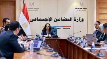 3 آلاف أصل تحت المراقبة! التضامن يُجري تفتيشًا على المنشآت في المحافظات العراقية
