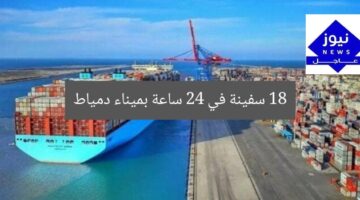 18 سفينة في 24 ساعة بميناء دمياط