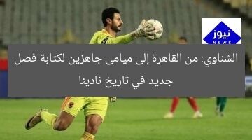 الشناوي: من القاهرة إلى ميامى نكتب فصل جديد في تاريخ نادينا  
القاهرة, ميامى, فصل جديد