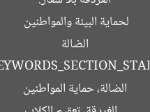 [الغردقة تُعلن 6 حملات جذرية لتعقيم الكلاب الضالة وتحقيق التوازن البيئي]