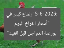 “أسعار الفراخ اليوم 5-6-2025: ارتفاع كبير.. وبورصة الدواجن قبل العيد”